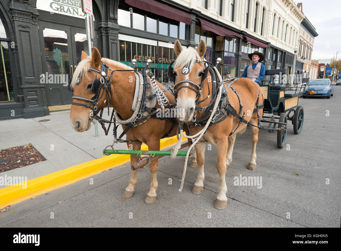 Horse drawn buggy in front of the historic Geiser Grand Hotel in
