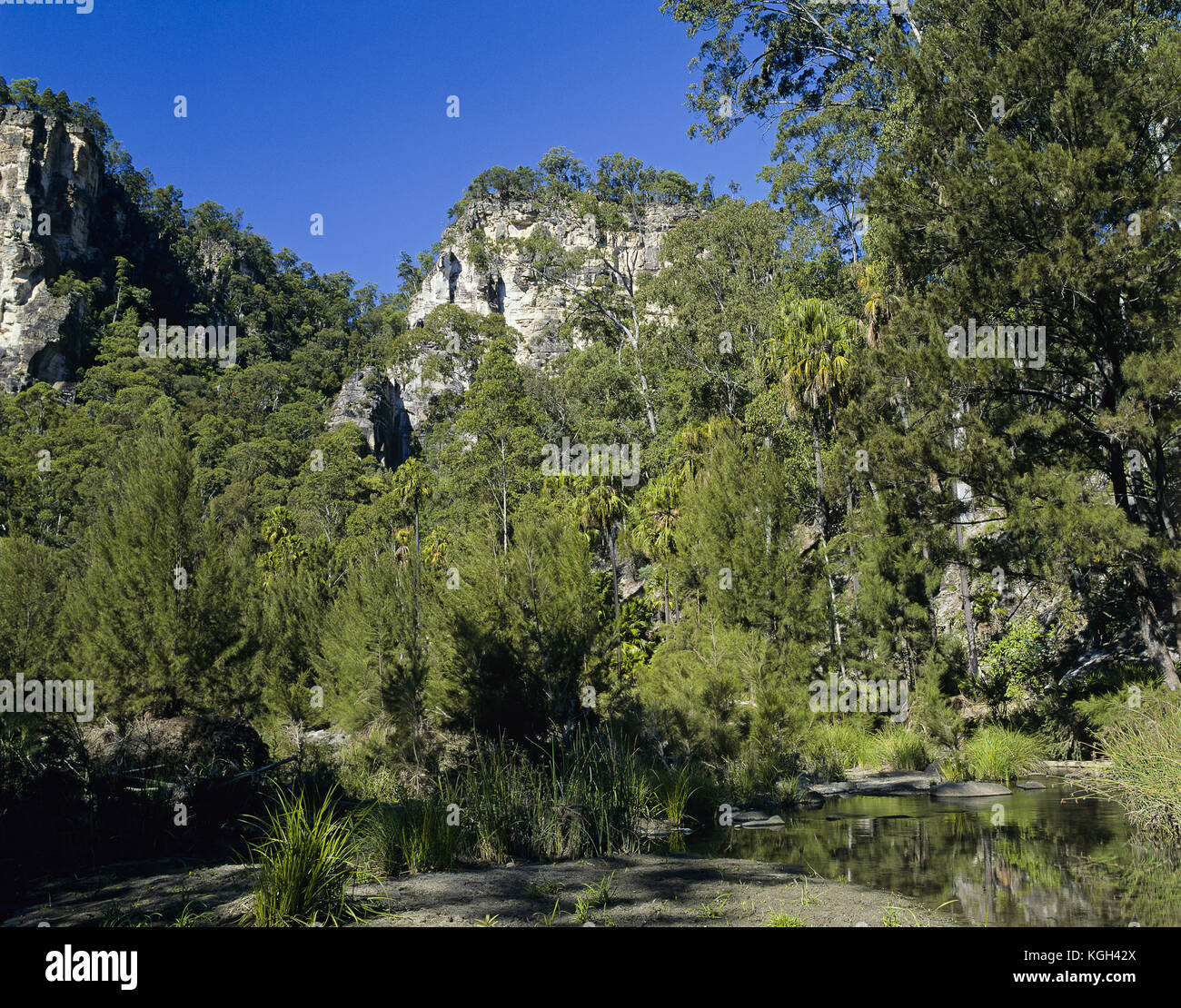 Sandstone Bluff from Carnarvon Creek, Carnarvon National Park, Queensland, Australia Stock Photo