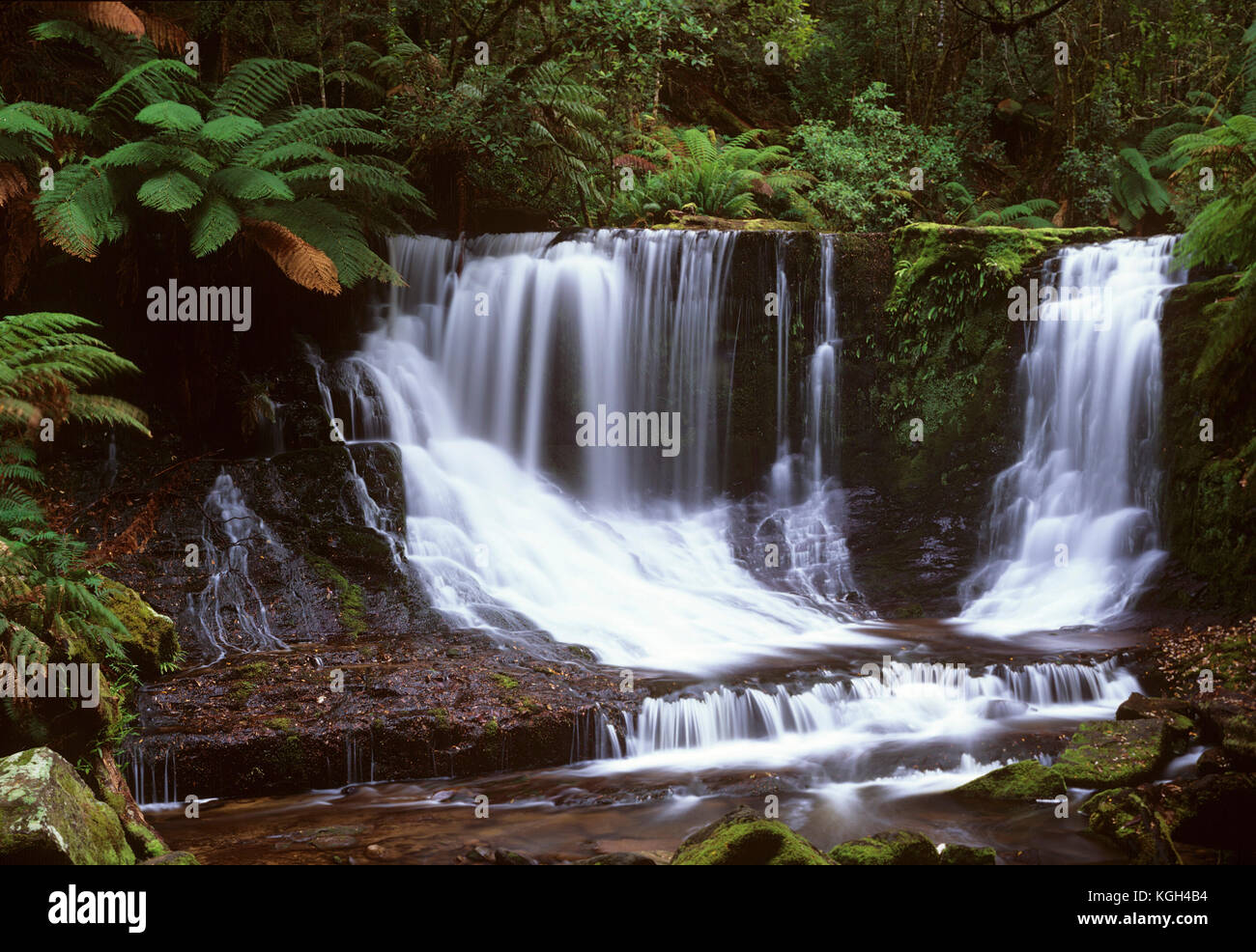 Horseshoe Falls, Mount Field National Park, Tasmania, Australia Stock