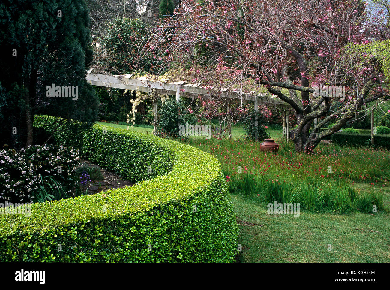 Buskers End garden, a private garden. Bowral, Southern Highlands, New