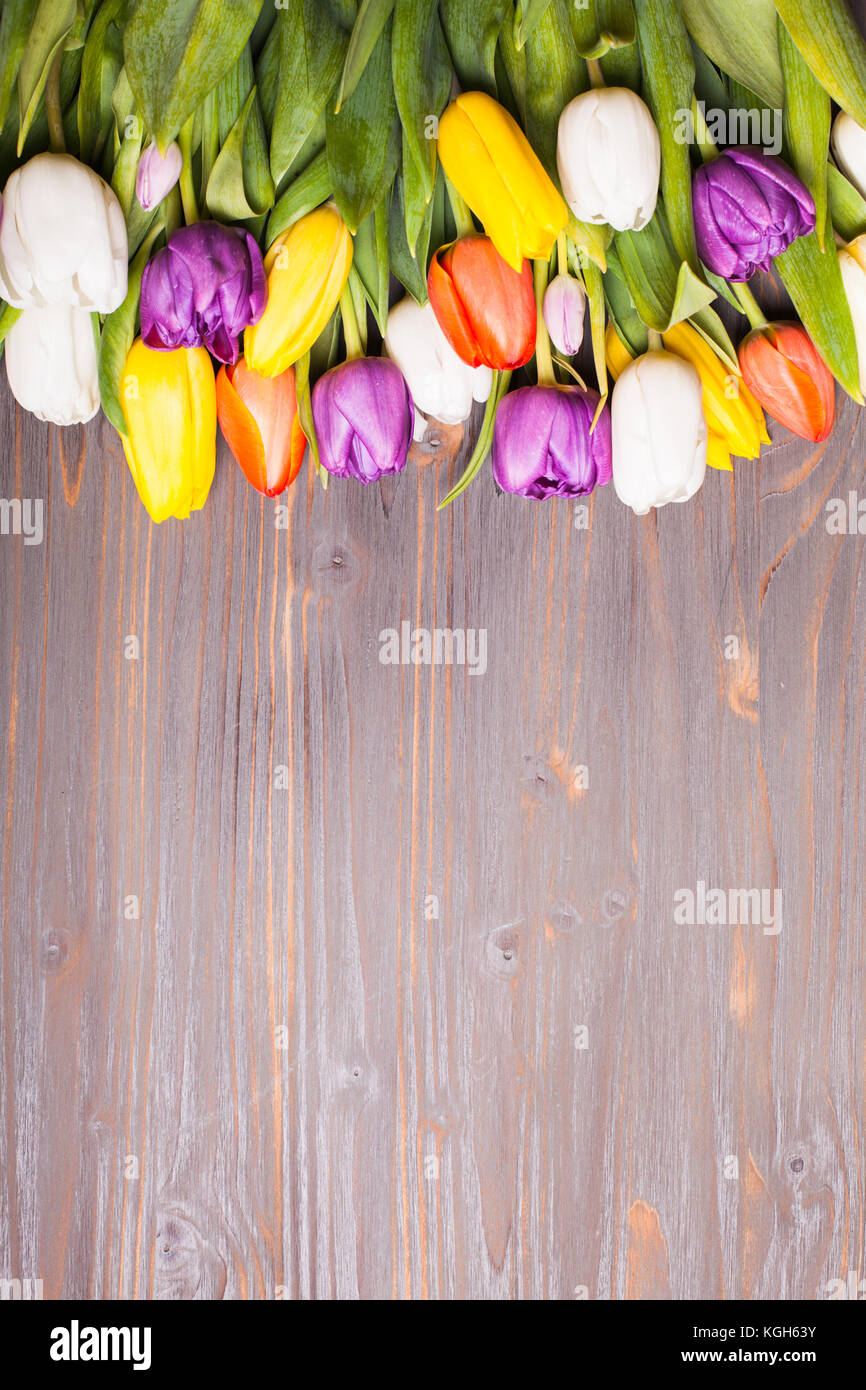 Color tulips on the board Stock Photo Alamy