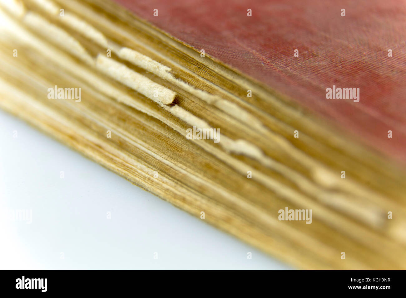 Ripped book cover hires stock photography and images Alamy