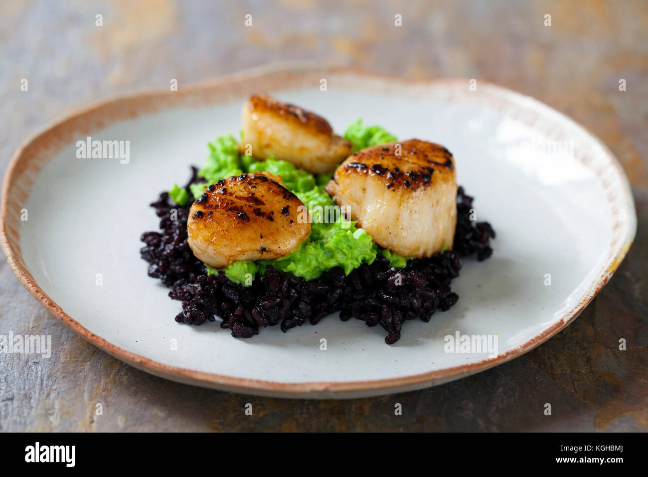 Scallops with black forbidden rice and pea puree Stock Photo Alamy