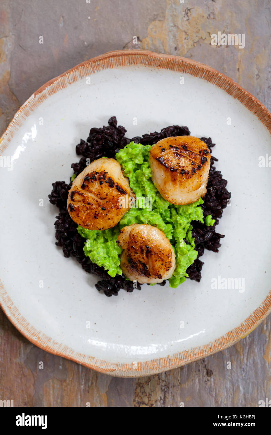 Scallops with black forbidden rice and pea puree Stock Photo Alamy