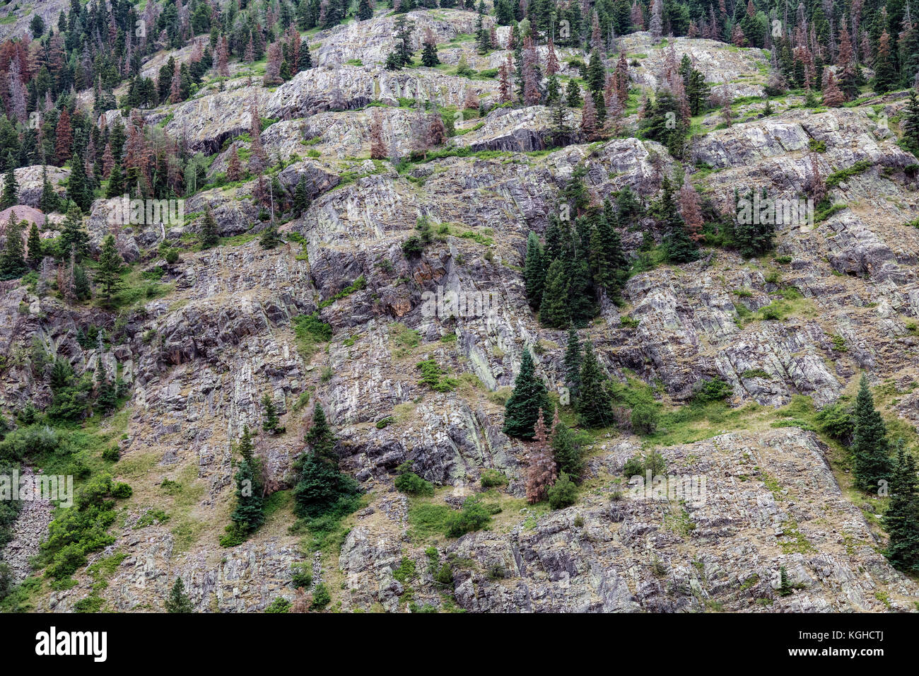 Exposed Vertical Strata, near Ouray, CO Stock Photo