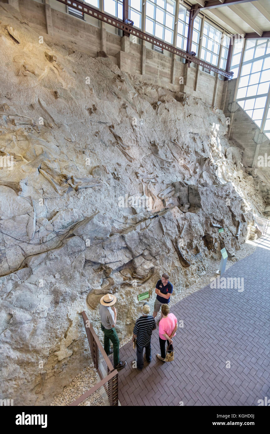 Visitors & Dinosaur Fossils at the Quarry - Dinosaur National Monument, UT Stock Photo