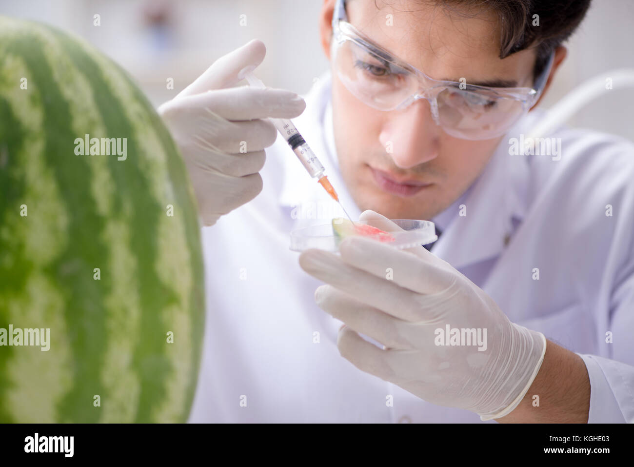 Scientist testing watermelon in lab Stock Photo - Alamy