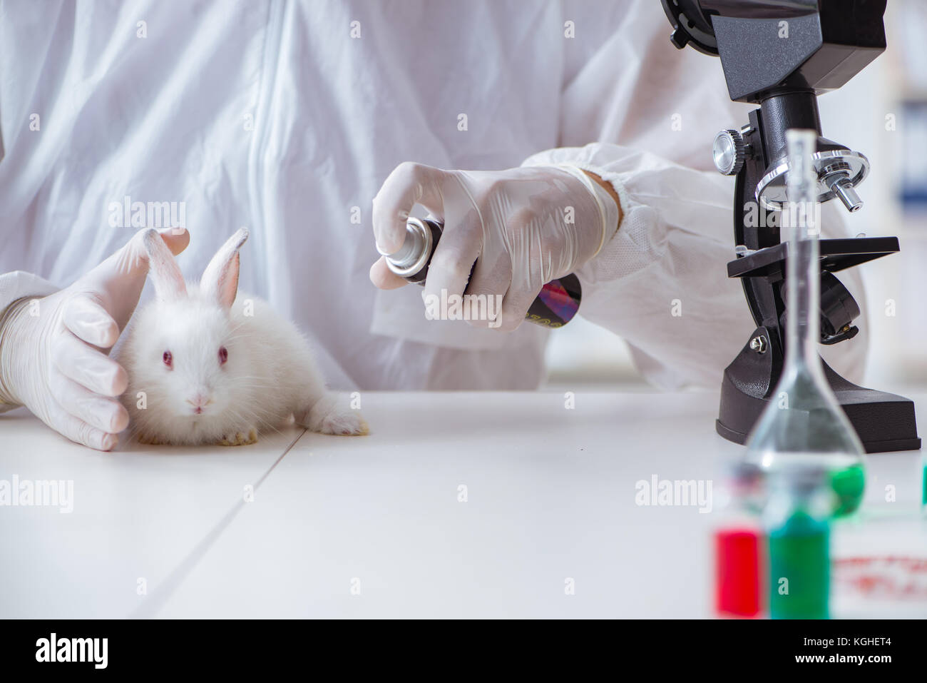 Scientist doing animal experiment in lab with rabbit Stock Photo Alamy