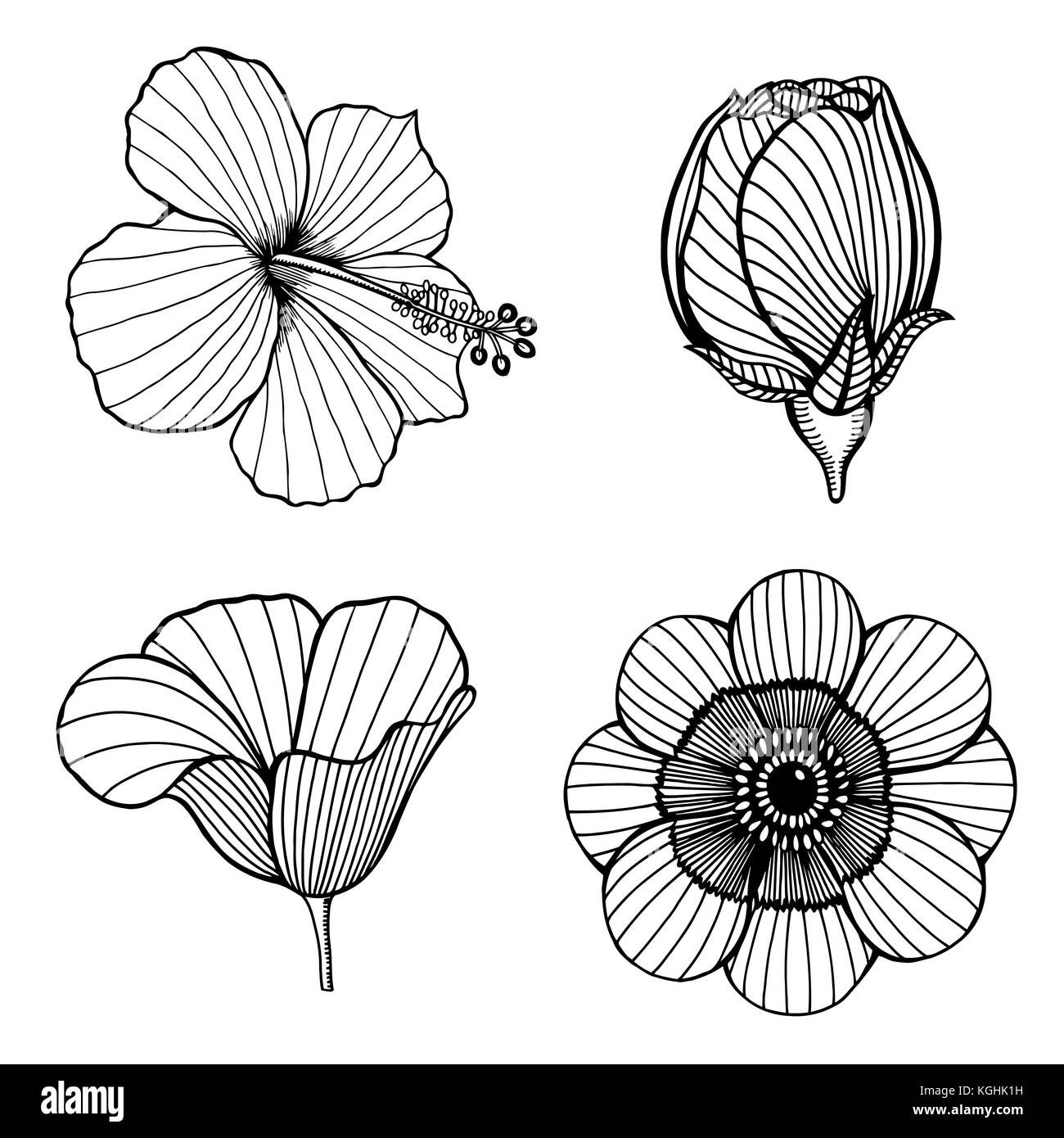 Vector set of hand drawn lotus flowers. Sketch floral botany collection in graphic black and white style Stock Vector