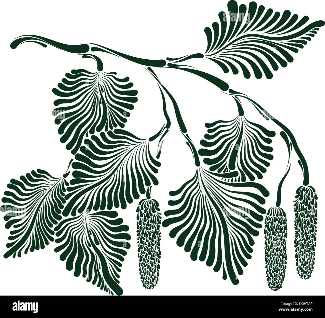 Birch buds Stock Vector Images - Alamy