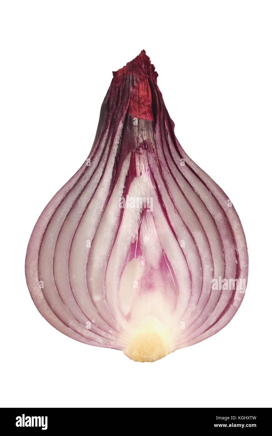 Cut red onion isolated on white background Stock Photo