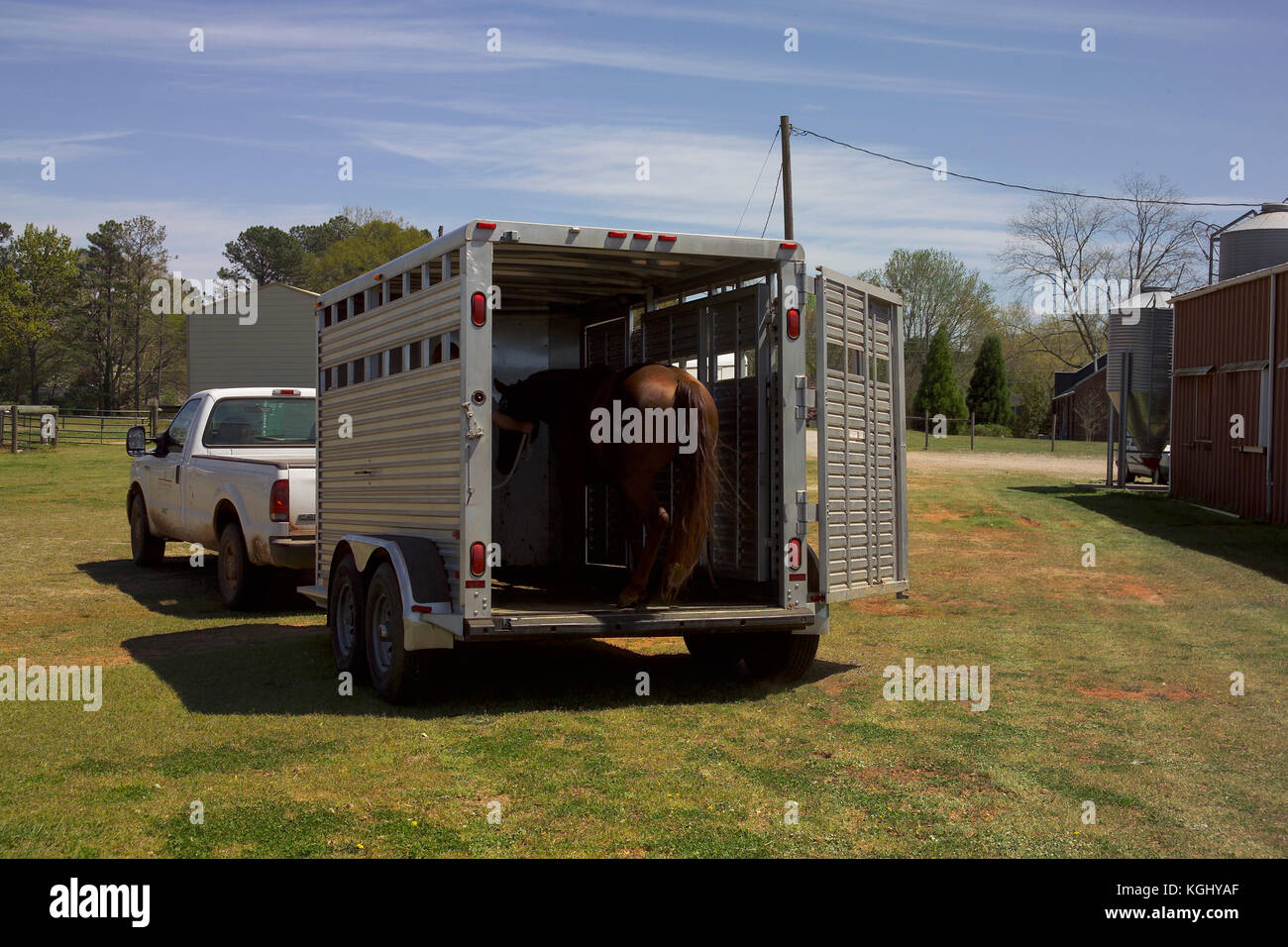 LOADING HORSE INTO A TRAILER, AT THE UNIVERSITY OF HORSE PROGRAM, ATHENS, GA PART OF