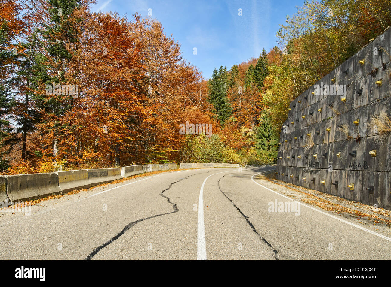 Asphalt road through colorful deciduous forest in the autumn Stock ...