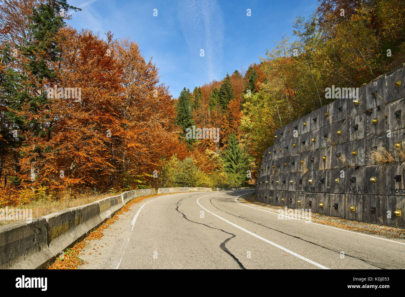 Asphalt road through colorful deciduous forest in the autumn Stock ...