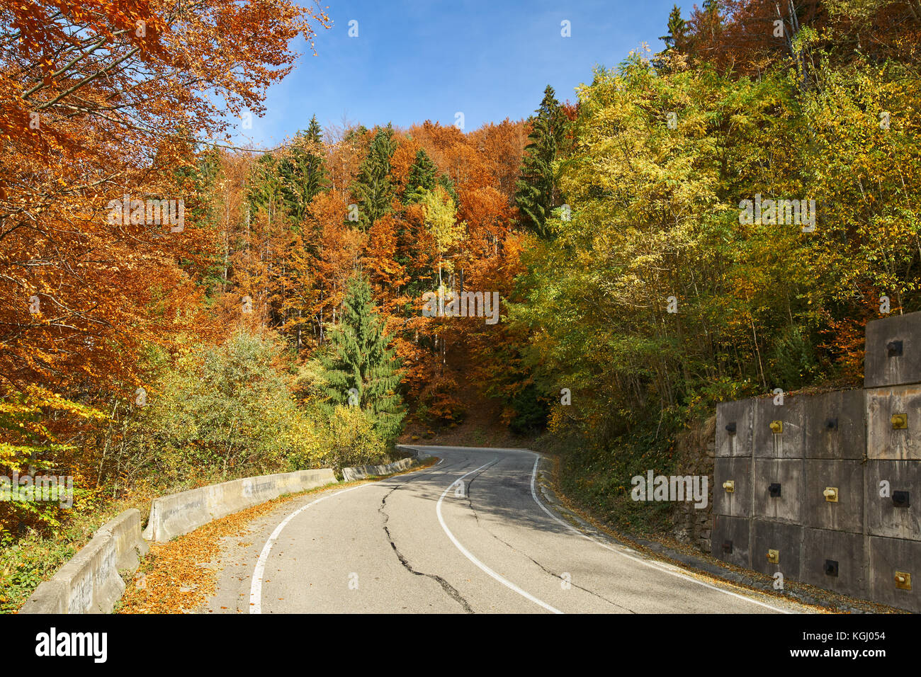Asphalt road through colorful deciduous forest in the autumn Stock ...