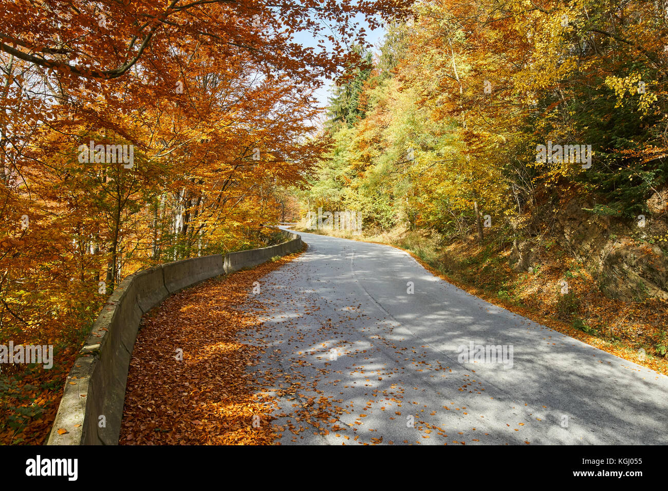 Asphalt road through colorful deciduous forest in the autumn Stock ...