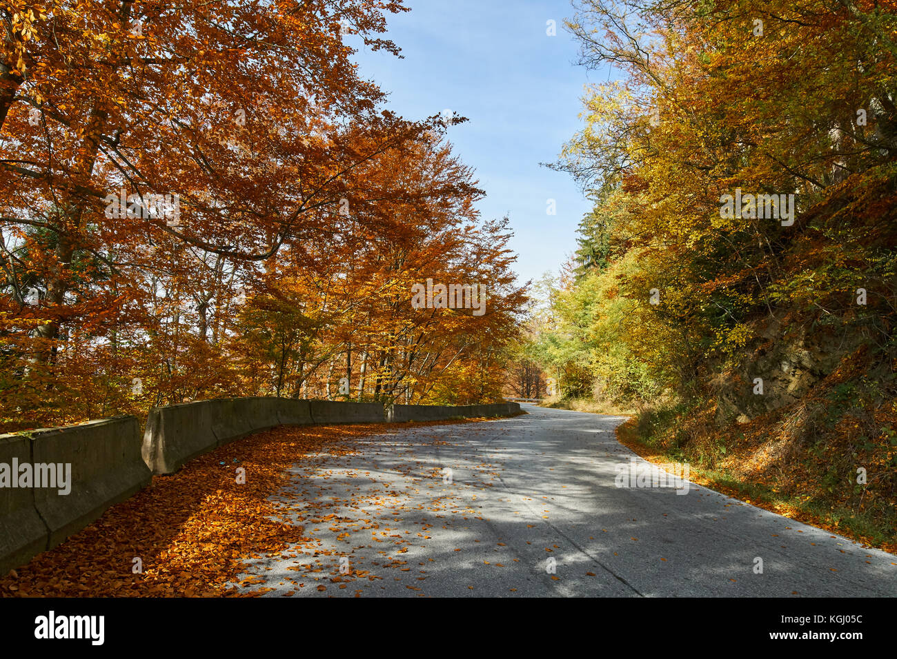 Asphalt road through colorful deciduous forest in the autumn Stock ...