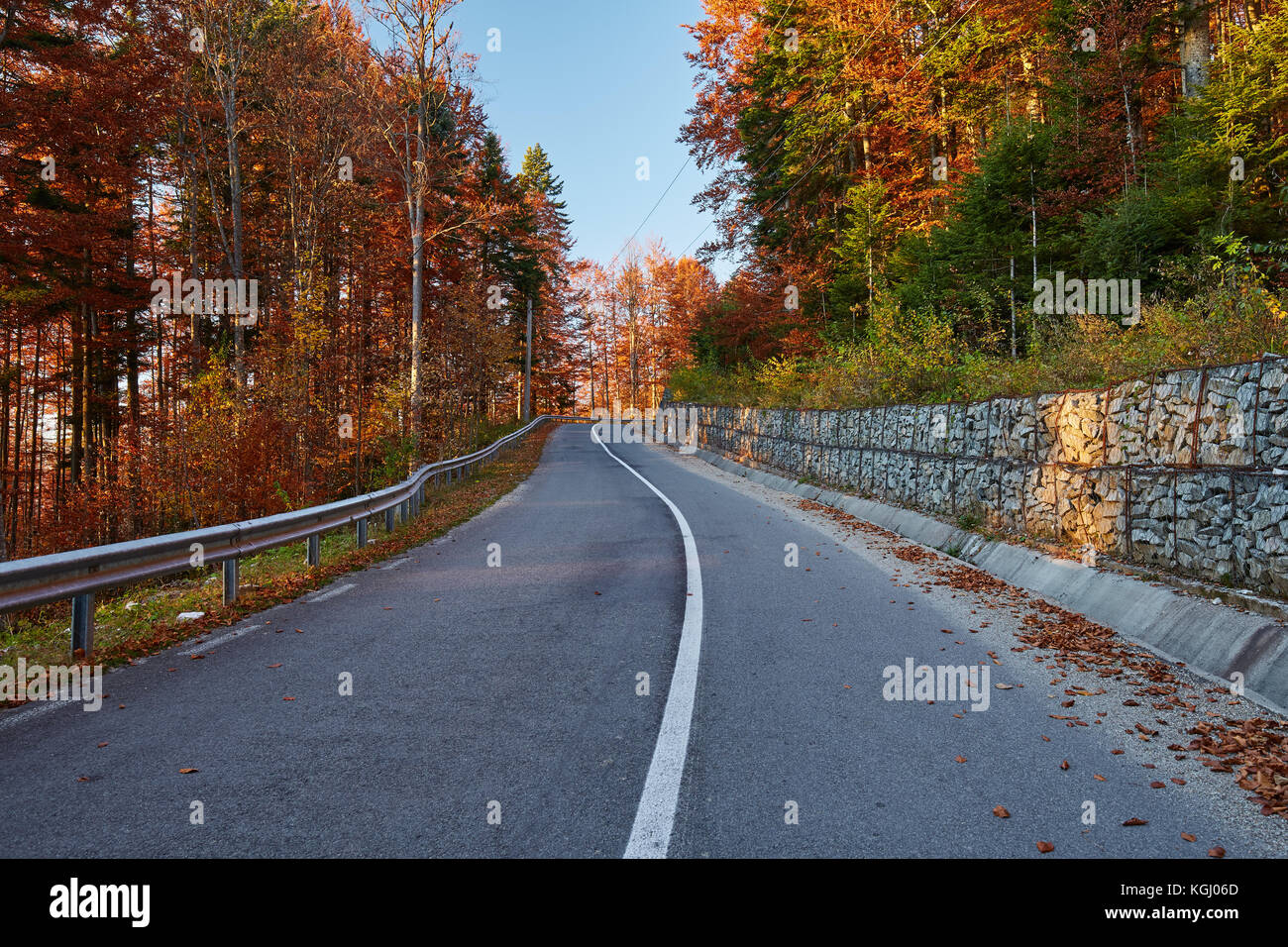 Asphalt road through colorful deciduous forest in the autumn Stock ...
