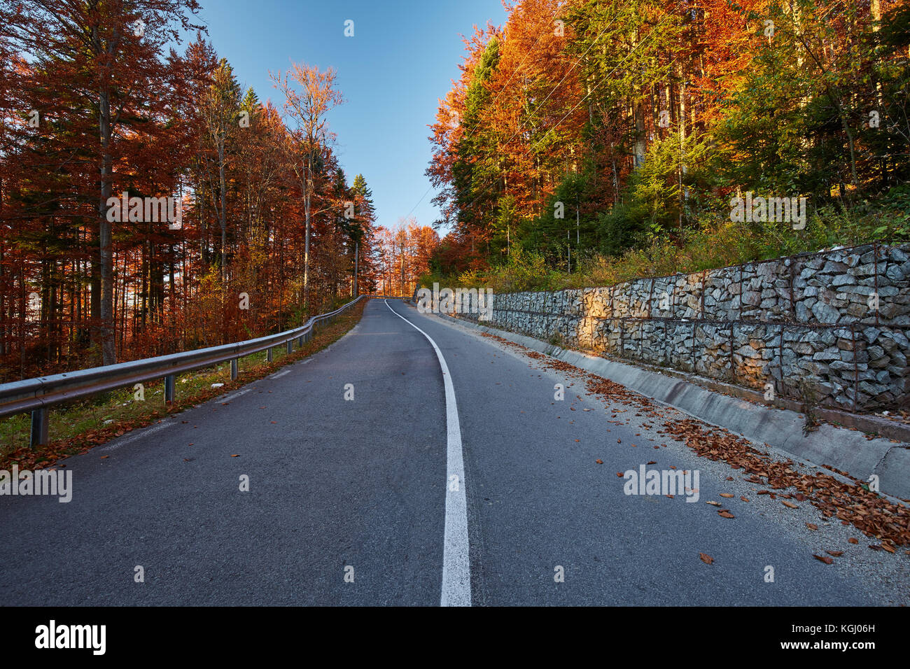 Asphalt road through colorful deciduous forest in the autumn Stock ...