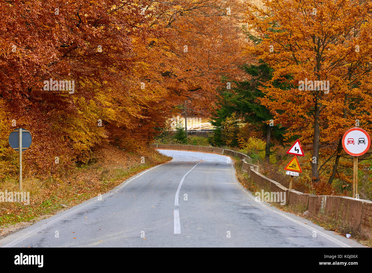 Asphalt road through colorful deciduous forest in the autumn Stock ...