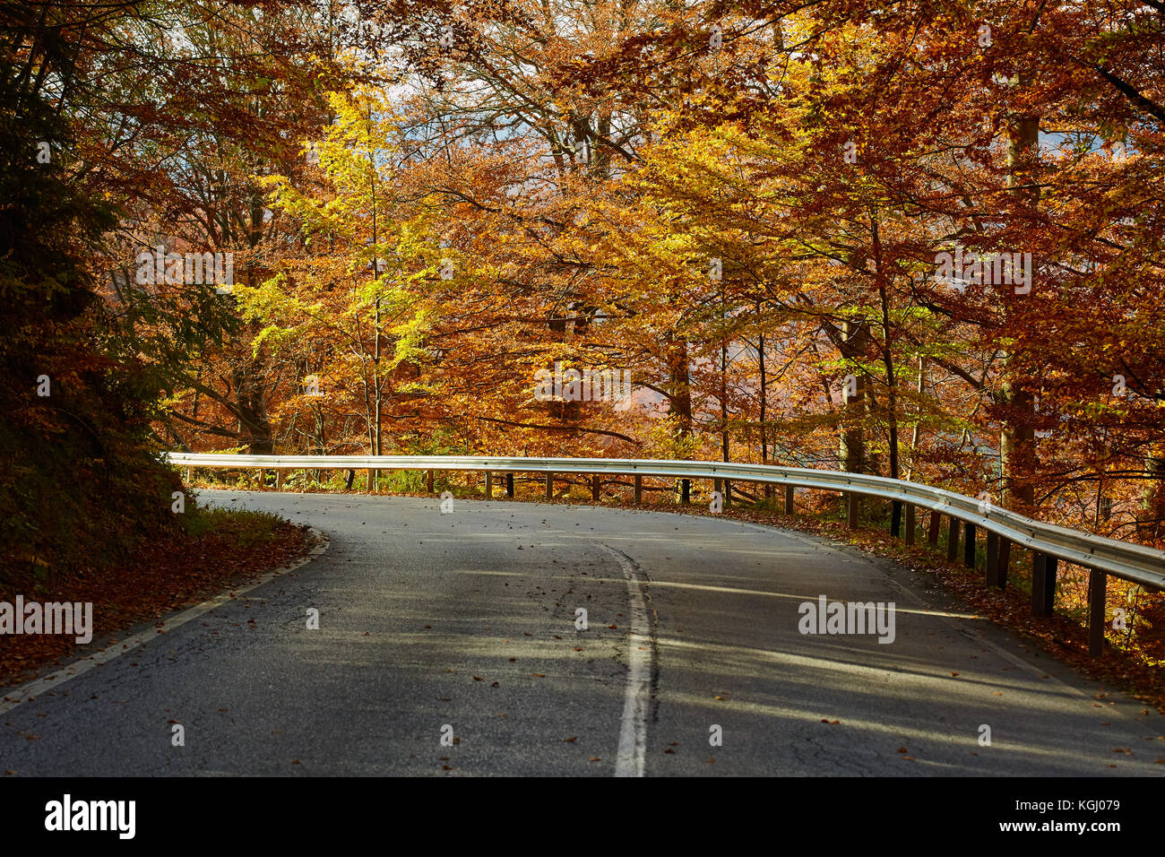 Asphalt road through colorful deciduous forest in the autumn Stock ...