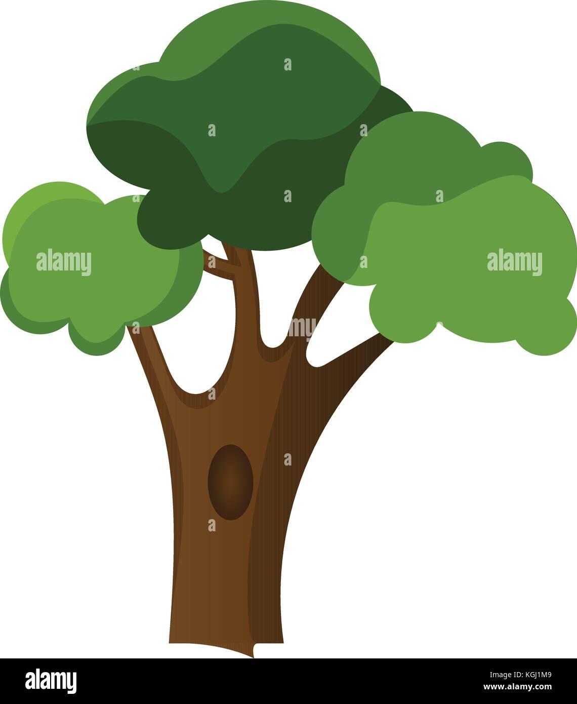 Isolated tree illustration Stock Vector Image & Art - Alamy