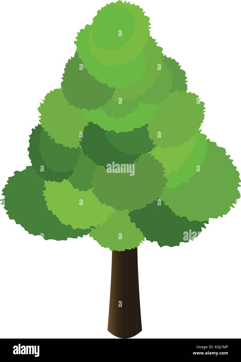 Isolated tree illustration Stock Vector Image & Art - Alamy