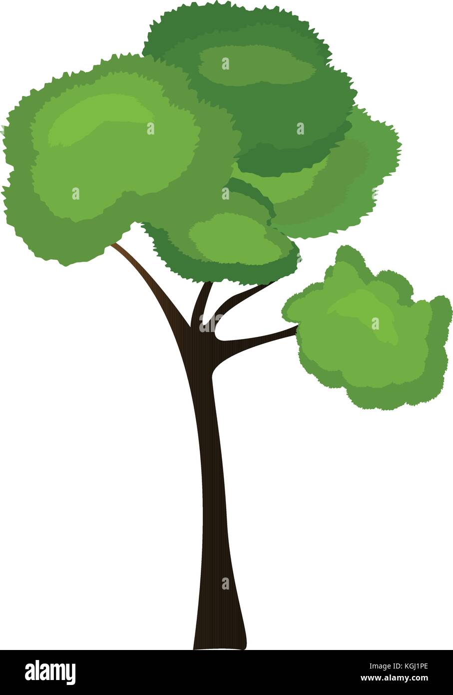 Isolated tree illustration Stock Vector Image & Art - Alamy