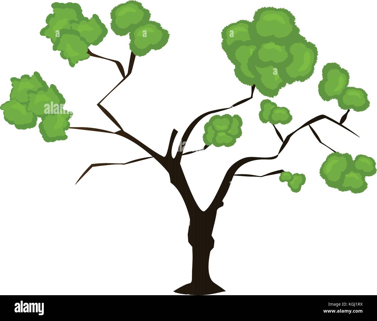 Isolated tree illustration Stock Vector Image & Art - Alamy