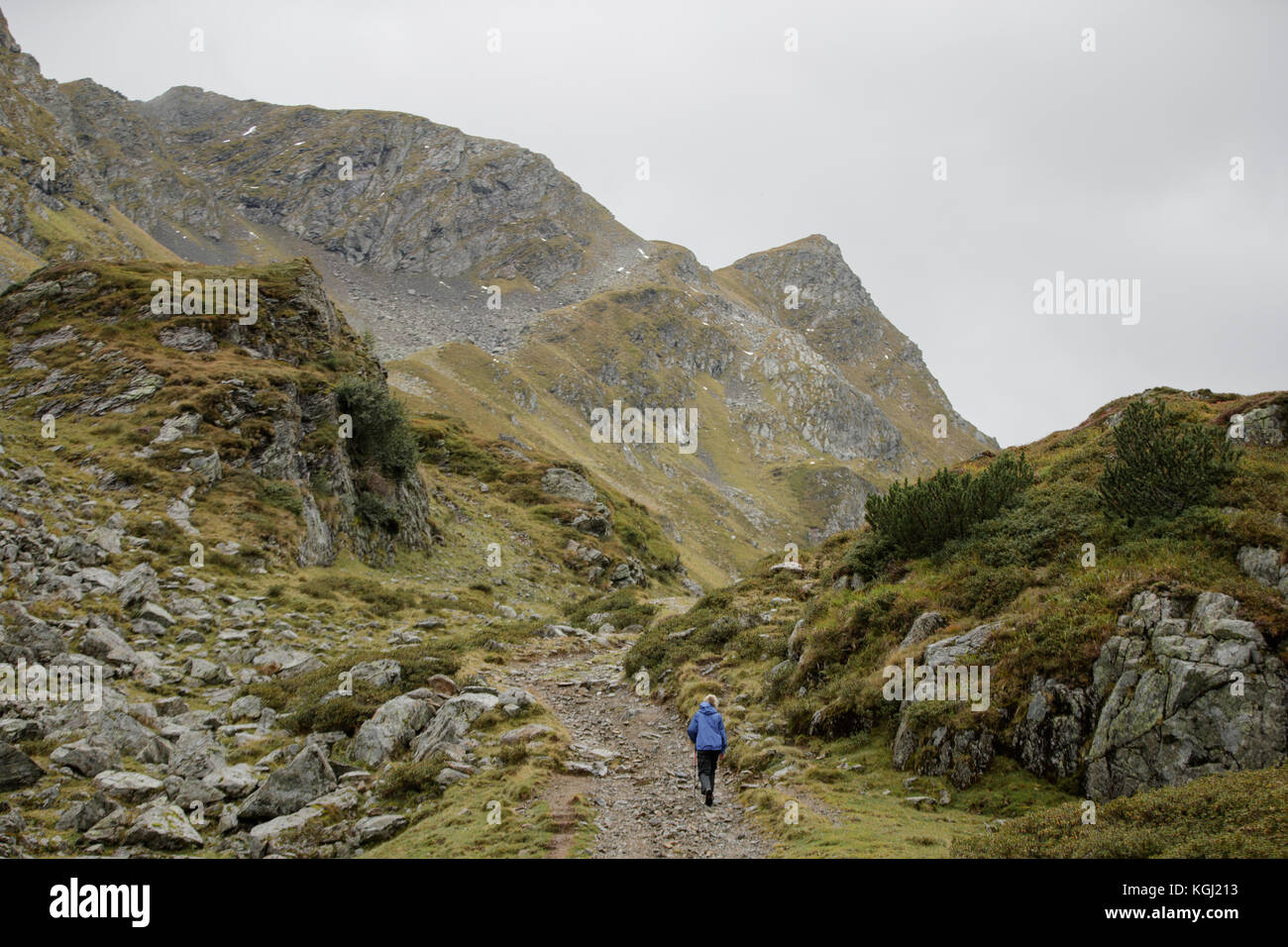 A woman hiking in the Austrian Mountains Stock Photo - Alamy