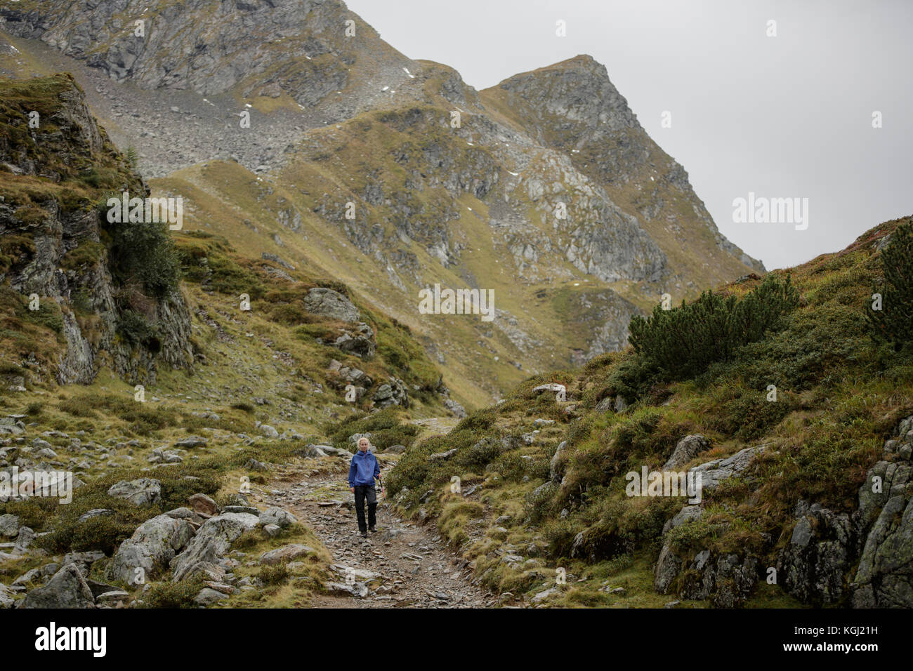 A woman hiking in the Austrian Mountains Stock Photo - Alamy