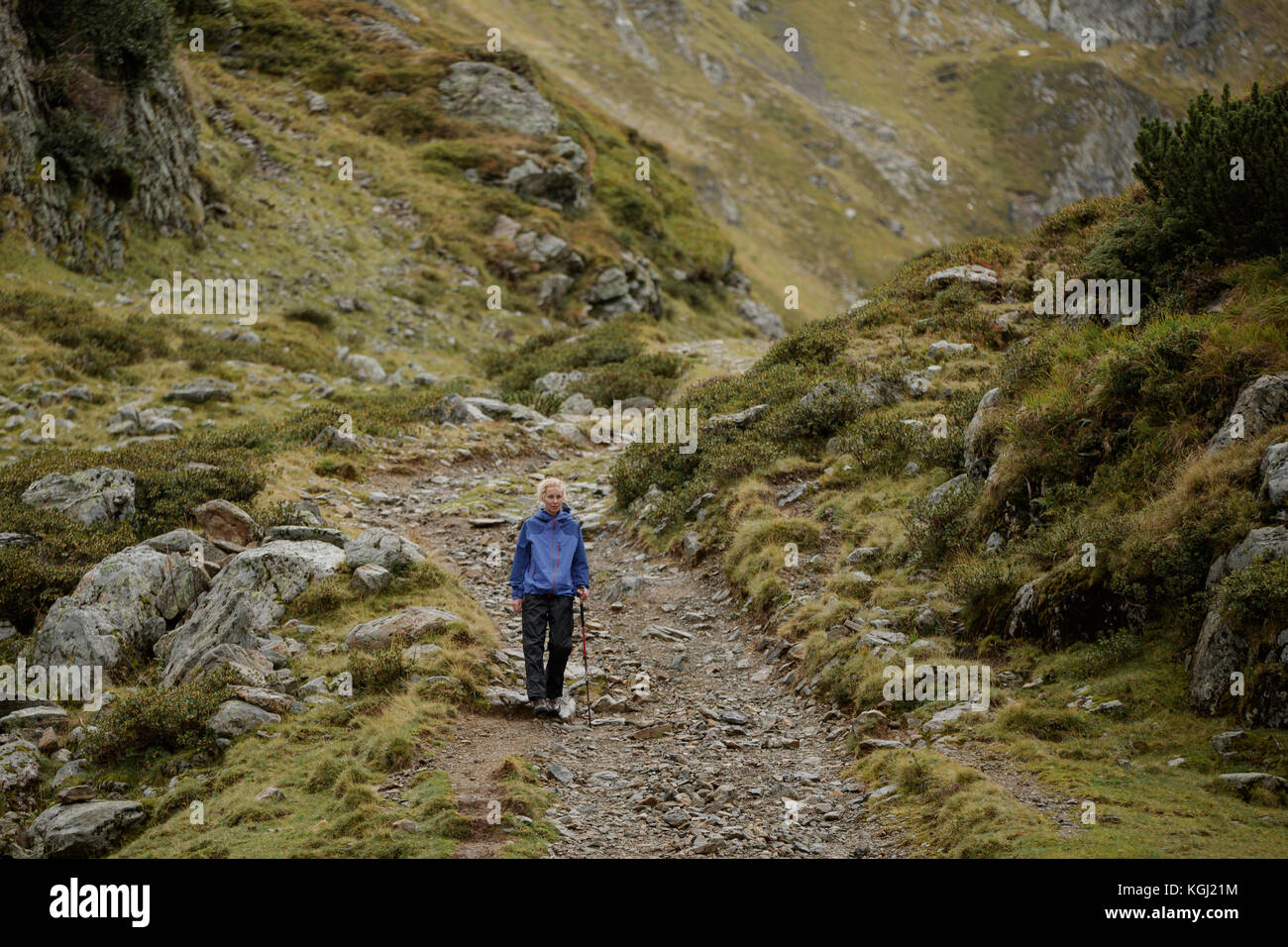 A woman hiking in the Austrian Mountains Stock Photo - Alamy