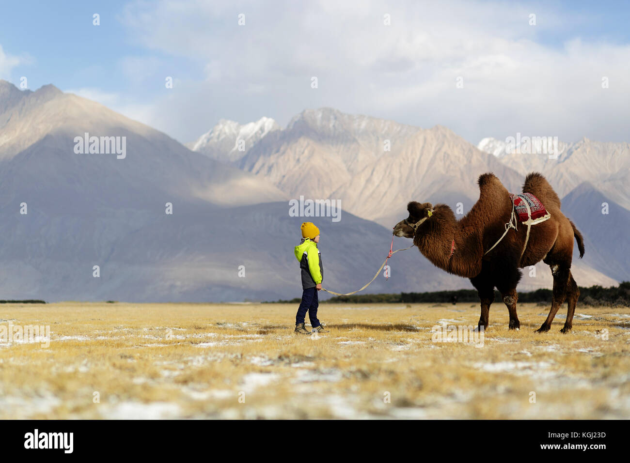 A western young boy riding a two hump camel in Nubra valley, Ladakh, Jammu and Kashmir, India. Stock Photo
