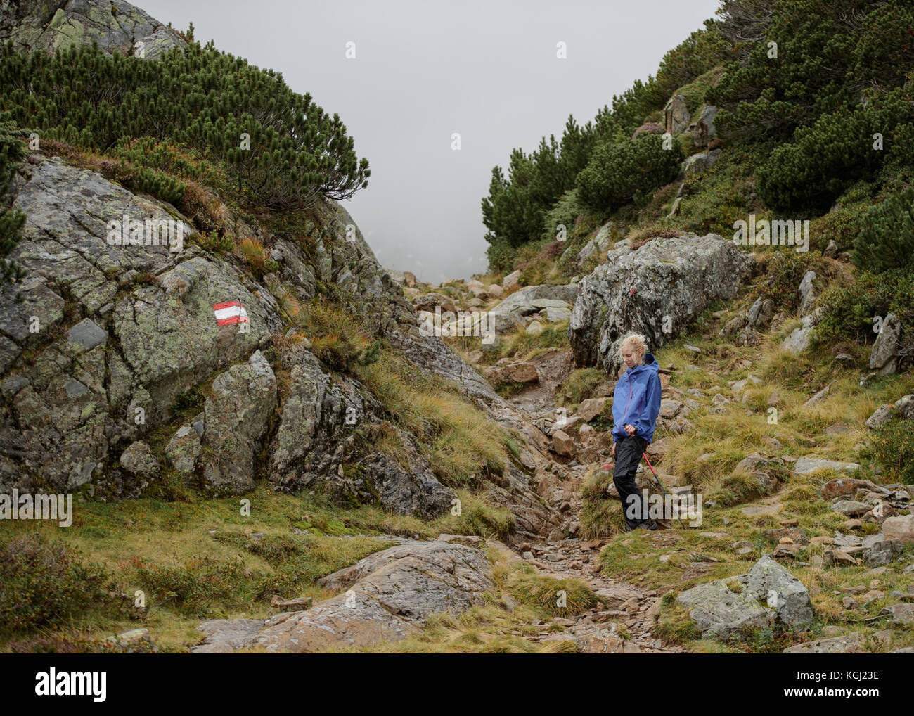A woman hiking in the Austrian Mountains Stock Photo - Alamy