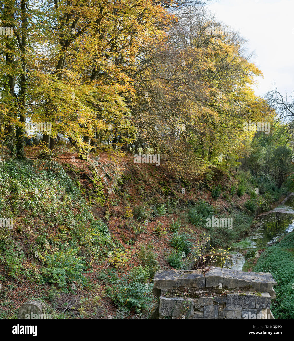 Autumn beech trees along the embankment to the old cotswold Sapperton Canal Tunnel and The Tunnel Inn. Coates, Cirencester, Gloucestershire, UK Stock Photo