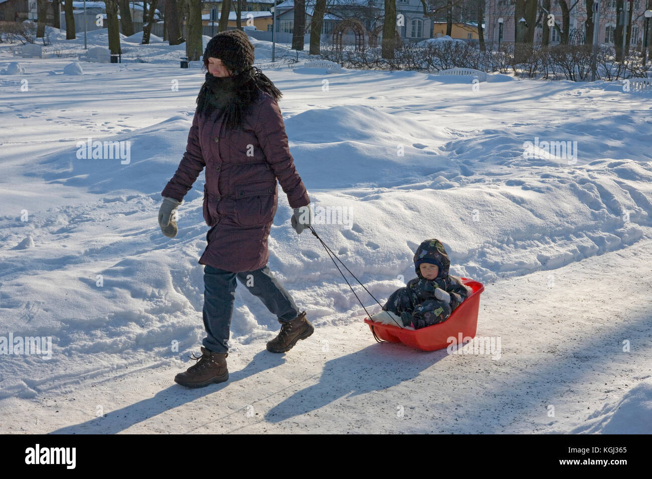 Mother takes offspring for a sledge in the park: Kadriorg Park, Tallinn, Estonia Stock Photo