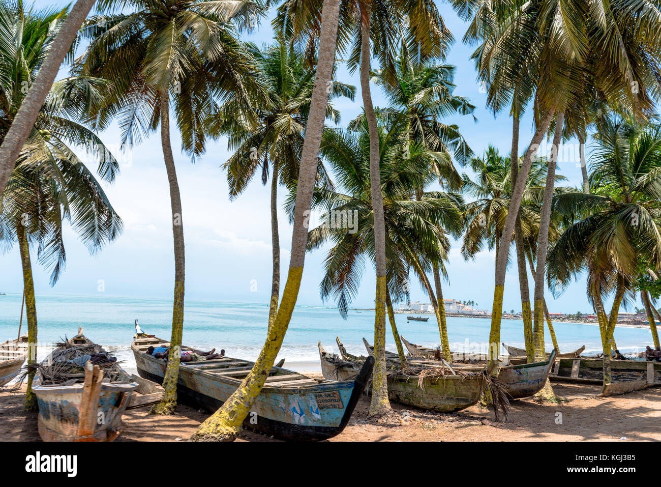 Locally made fishing canoes stationed under the shade of the Ghana's