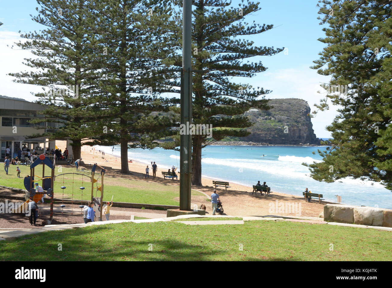 Park, Norfolk Island Pines and cafe area behind Avalon Beach Sydney Australia. Stock Photo