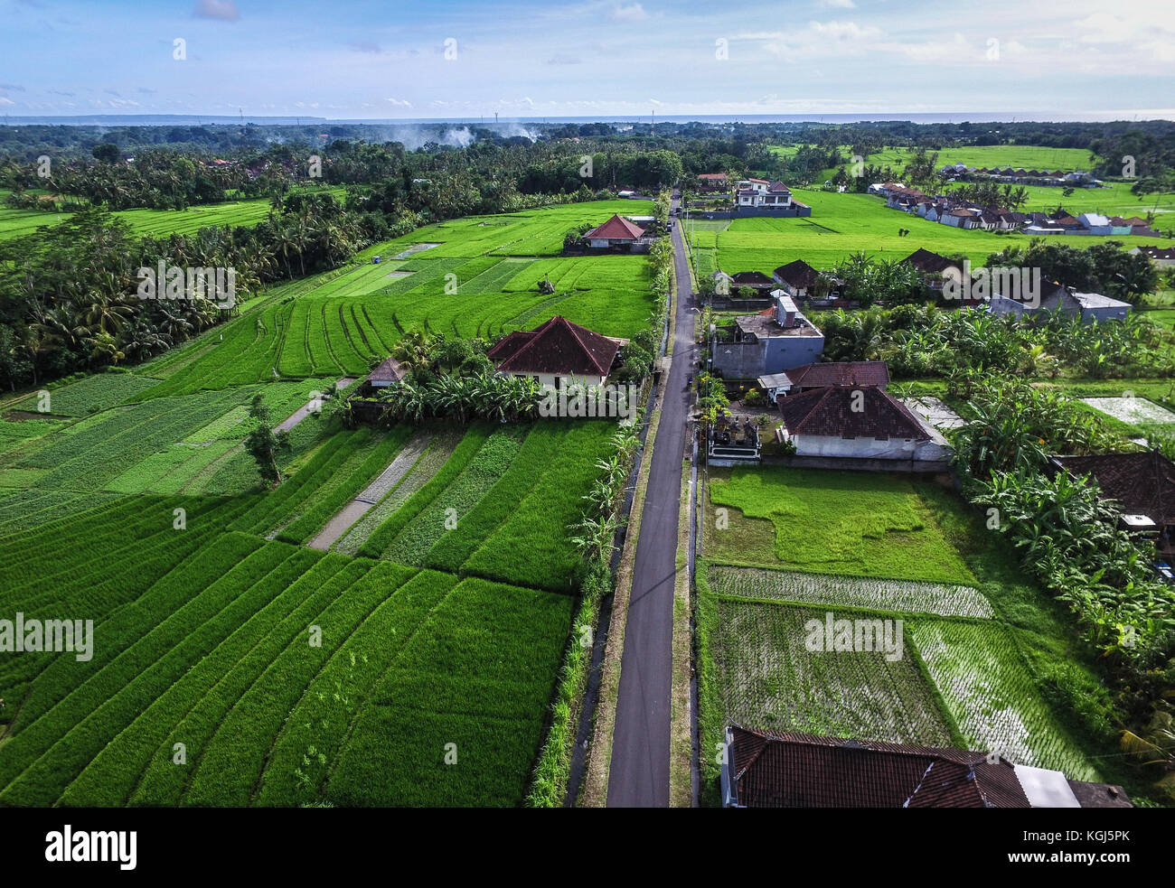 Aerial Drone Scene of Balinese Village with Rice Terrace Stock Photo