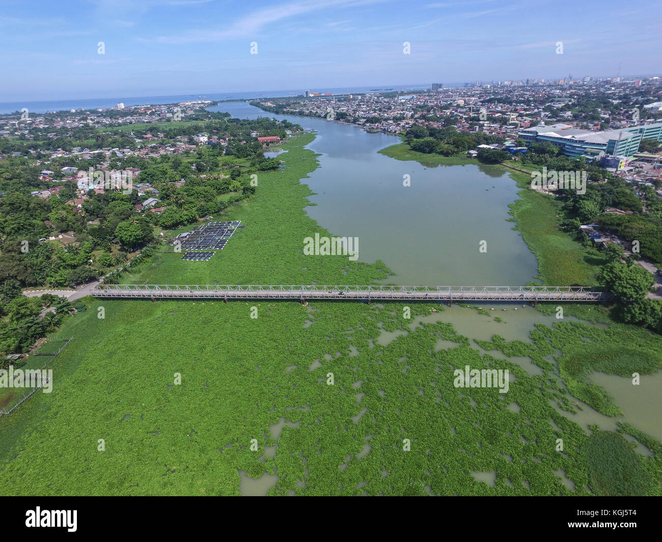 Water Hyacinth in Jeneberang River in Makassar. The growth of the Water Hyacinth may damage the ecosystem in the river due to lack of oxygen. Stock Photo