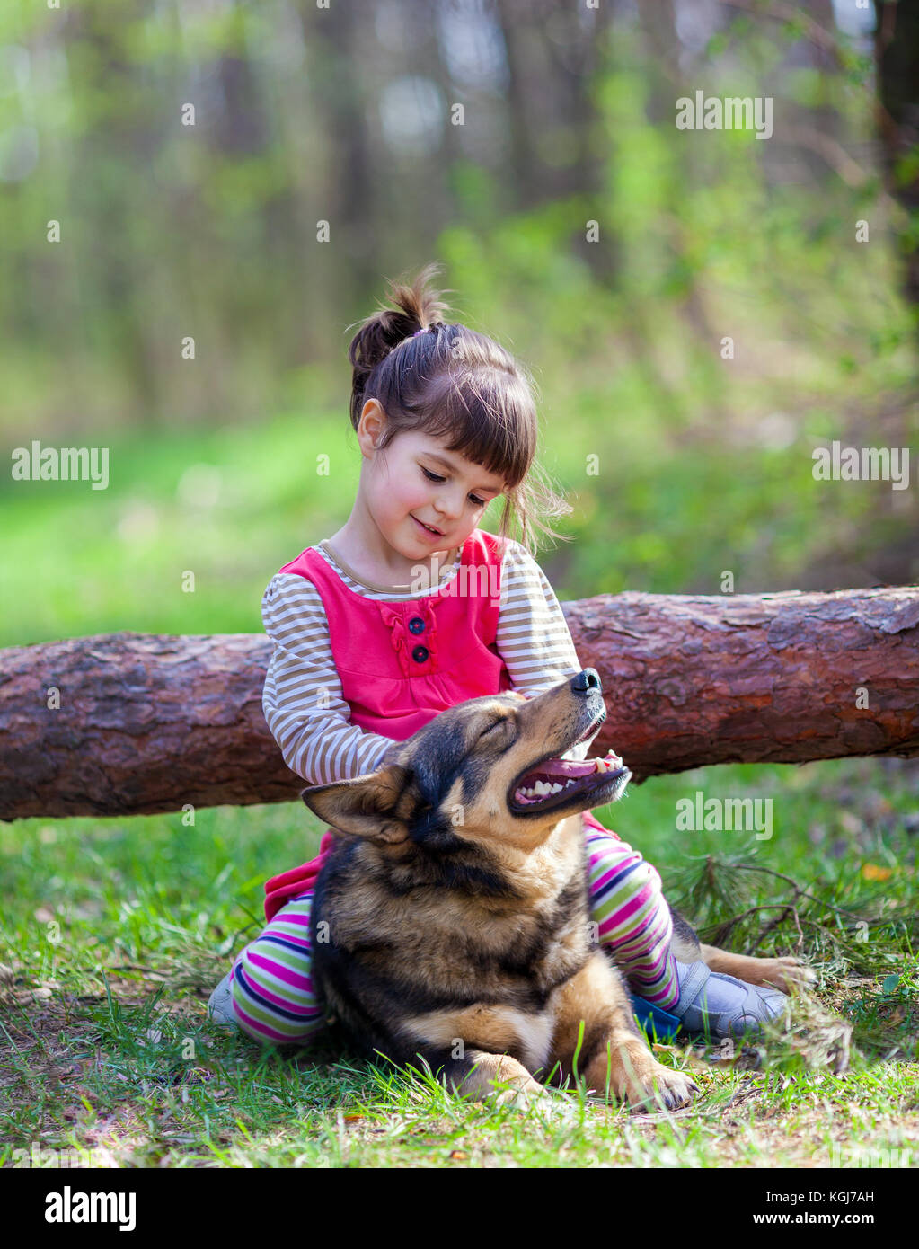 Happy little girl playing with the dog in the forest Stock Photo - Alamy