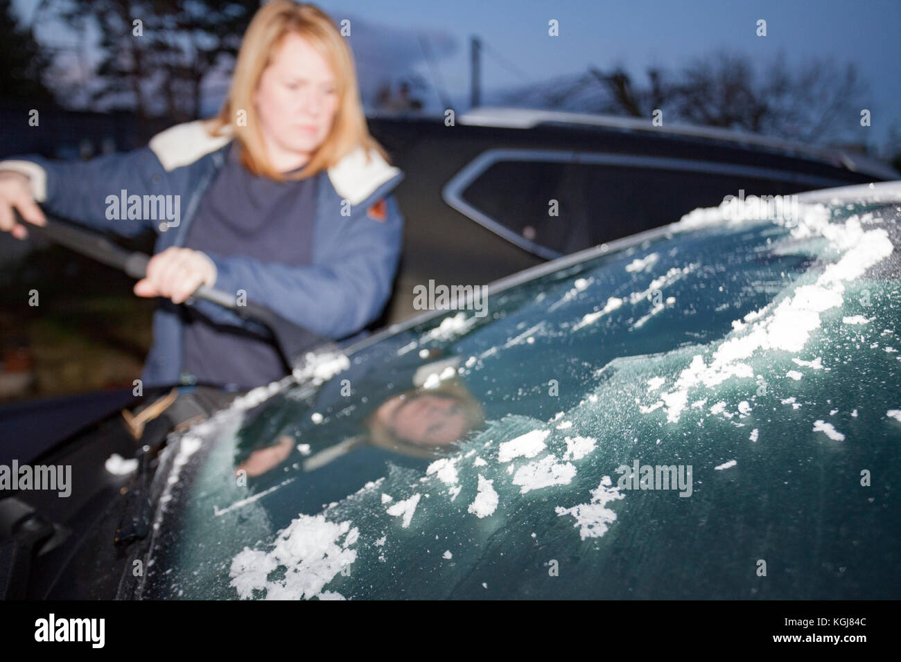 Woman scraping ice of her car windscreen early morning with an ice