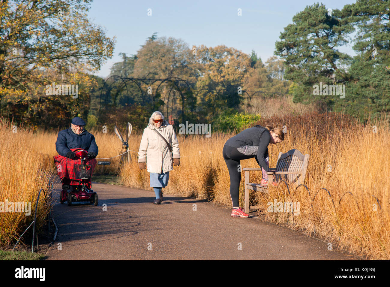 Trentham Gardens, woods and parkland in StokeonTrent. UK Weather