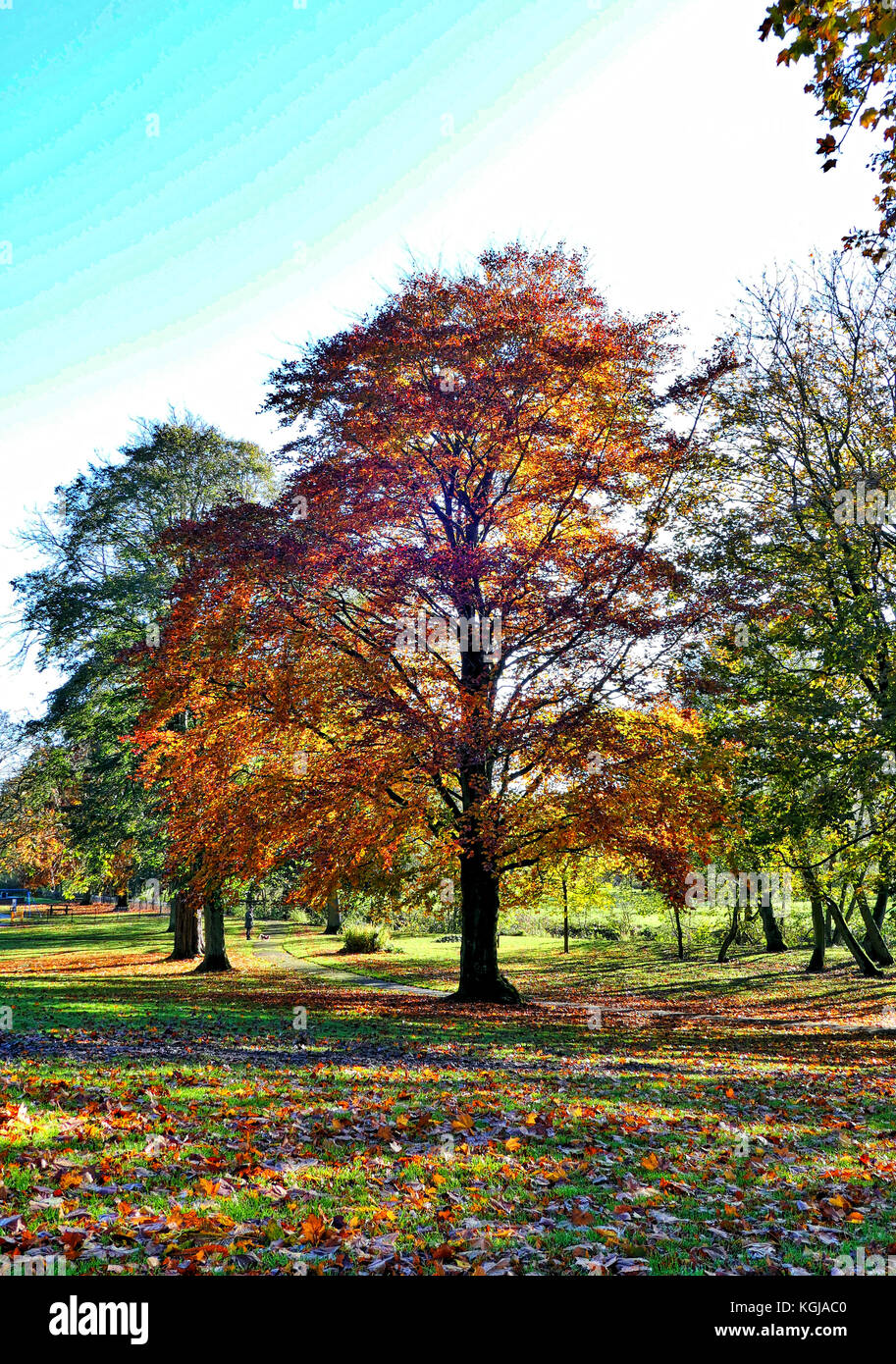 UK Weather warm autumn day in Ashbourne Park, Derbybshire, the gaterwat to the Peak District Stock Photo