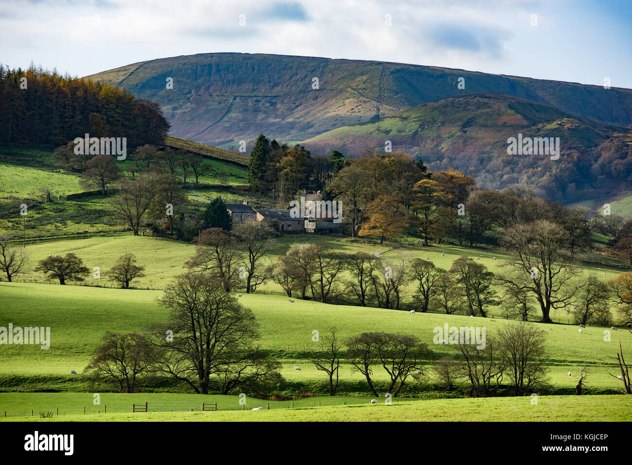 Lancashire, UK. 08th Nov, 2017. A cold morning gave way to a lovely sunny afternoon at Dunsop Bridge, Clitheroe, Lancashire. Credit: John Eveson/Alamy Live News Stock Photo