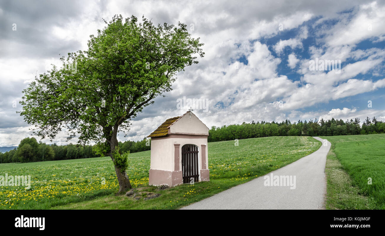 Dandelion meadow alone tree hi-res stock photography and images - Alamy