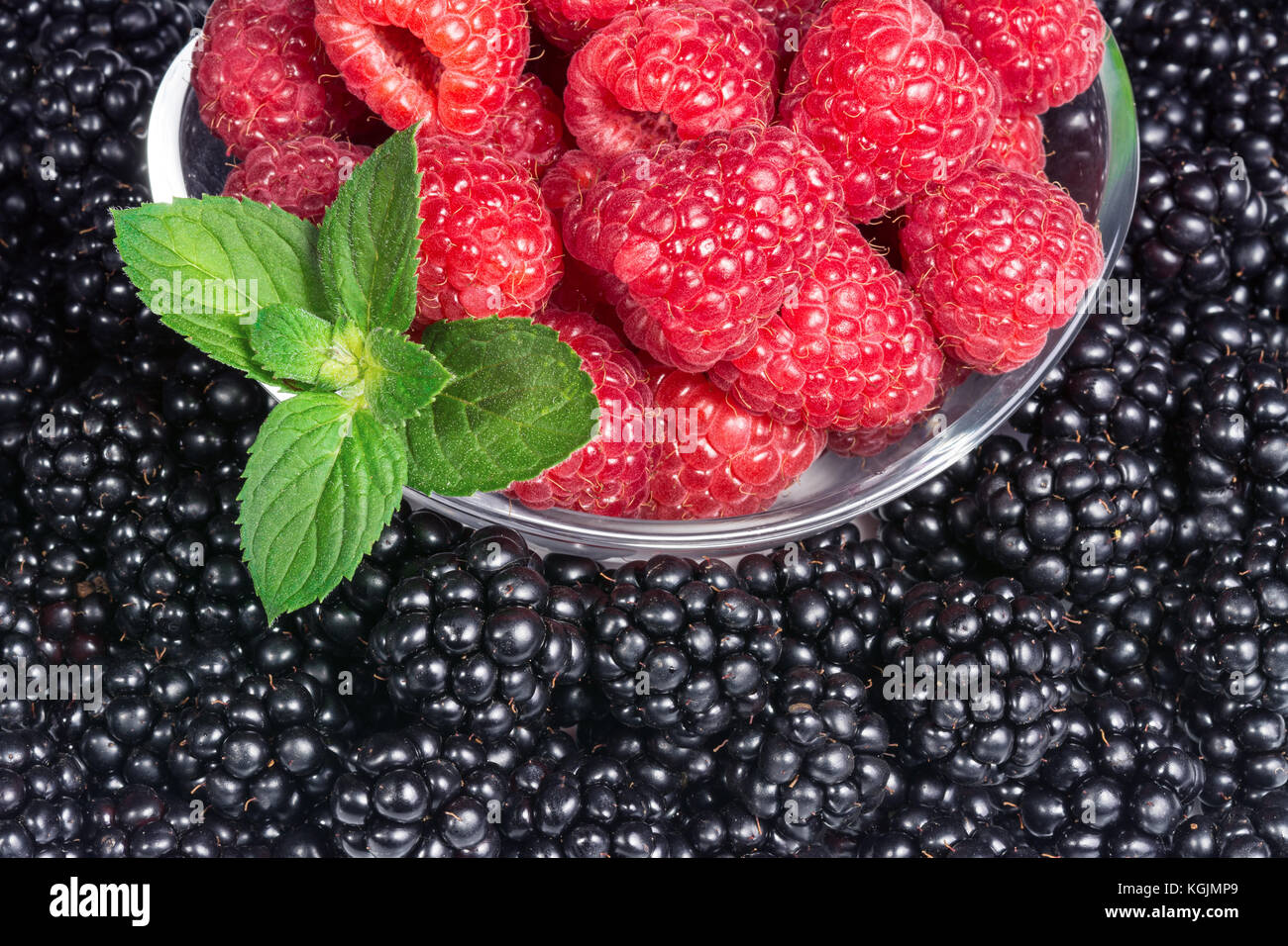 Red and black fruits with green mint leaf. Detail of juicy raspberries in glass bowl on the background full of sweet blackberries. Stock Photo