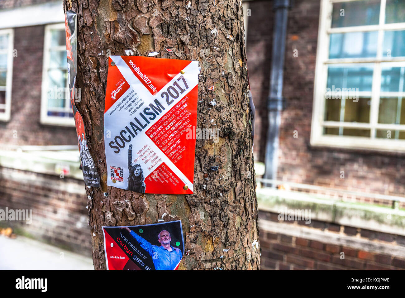 Socialism poster pinned to a tree trunk, Gower Street, Bloomsbury, London, England, UK. Stock Photo