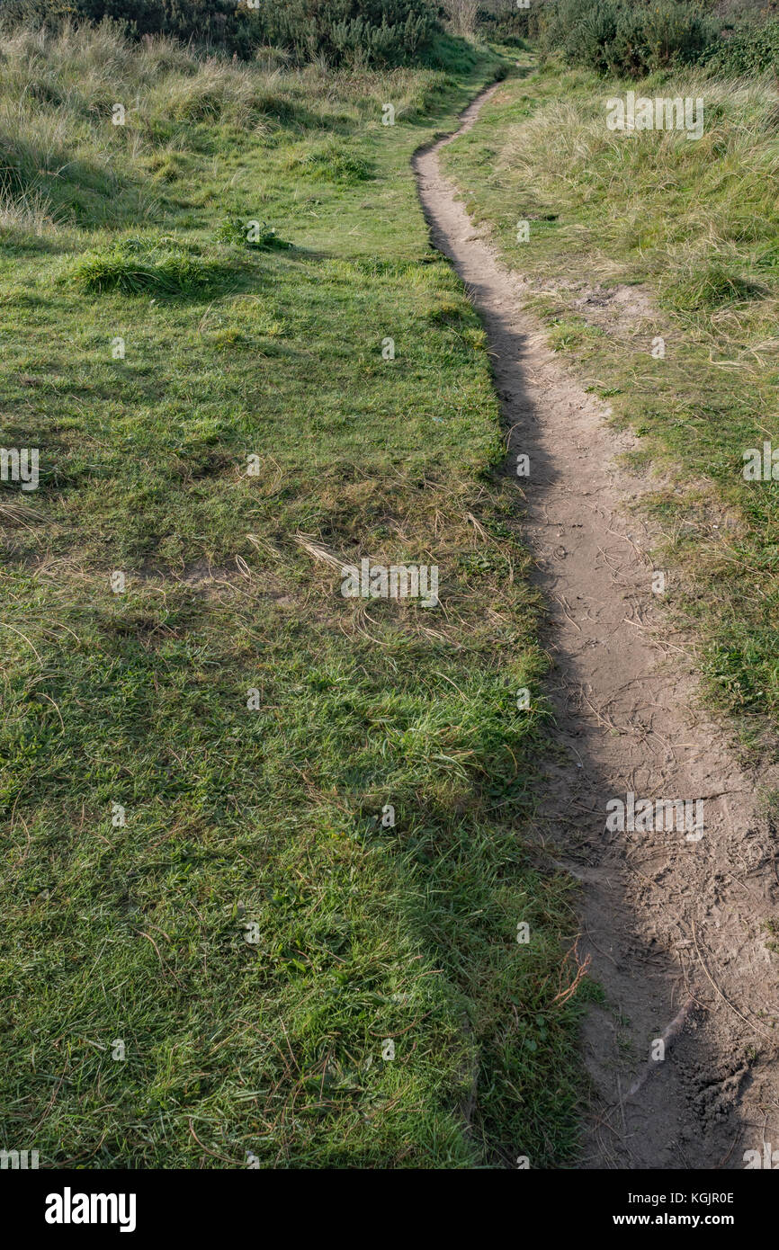 Footpath leading into the distance - metaphor for career path, making tracks, stay on the right path, long road ahead metaphor etc. Stock Photo