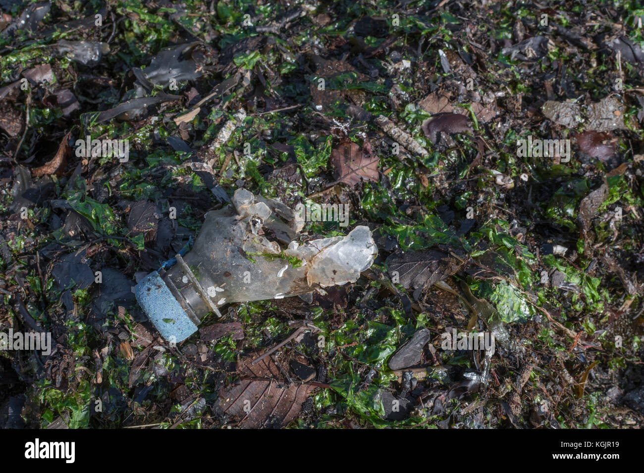 Severed top of plastic bottle washed ashore on the tide. Plastic waste concept. War on plastic, plastic environmental pollution / Sea plastic. Stock Photo